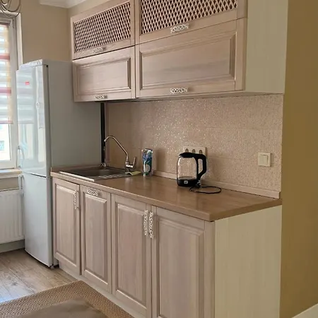 In The Style Of Modern Classics Appartement Odessa